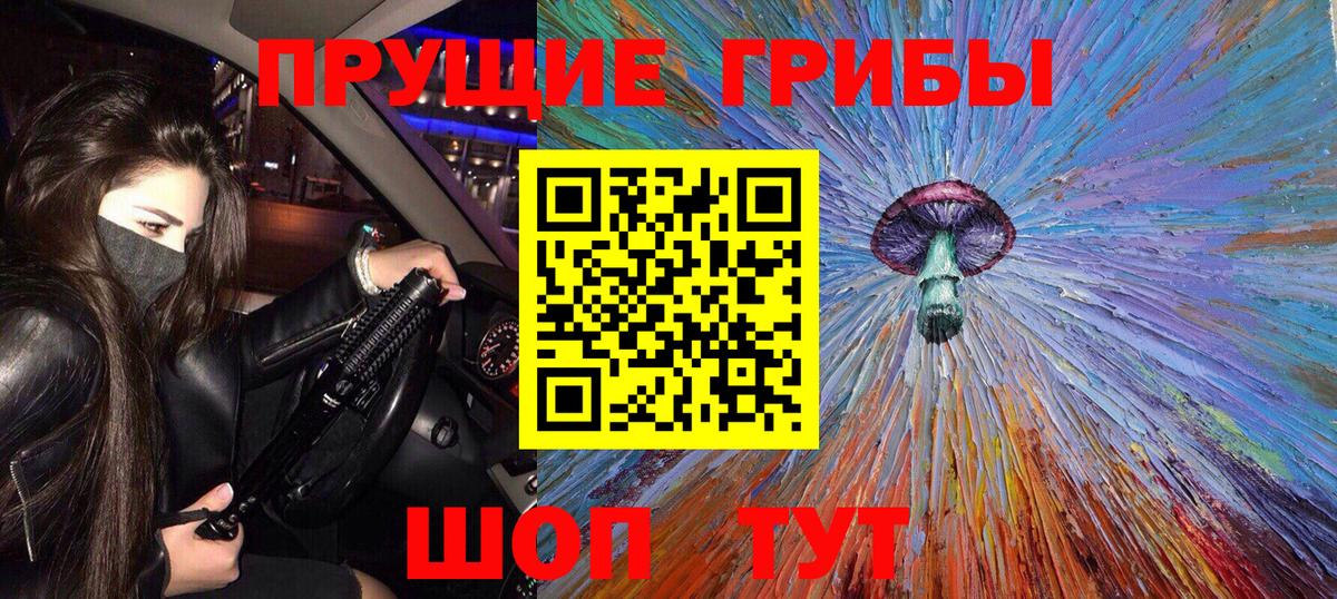 цена наркотик  Галлюциногенные грибы MAGIC MUSHROOMS  Псилоцибиновые грибы Psilocybe  Вход с VPN  Мытищи 